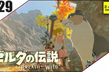 #29【三人称】ドンピシャとゼルダの伝説 ブレス オブ ザ ワイルド【Switch版】