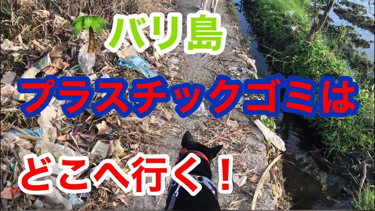 バリ島プラスチックごみはどこへ行く! バリ島プラスチックごみはどこへ行く!