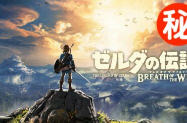 ゼルダの伝説 ブレス オブ ザ ワイルド 小ネタ・隠し要素まとめ集