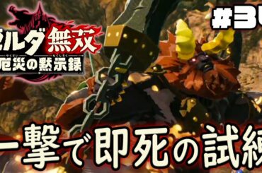 この試練が一番難しいと思います『ゼルダ無双 厄災の黙示録』を実況プレイpart34