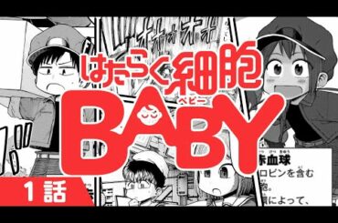 【漫画】赤ちゃんの体内だって細胞たちは働いている…!!👶出産寸前がんばれ赤血球!『はたらく細胞BABY』1話【公式】
