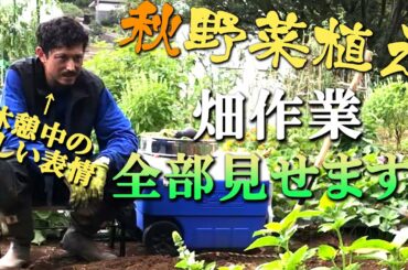 【池's farm#8】畑作業全部見せます！秋野菜植えスタート！！