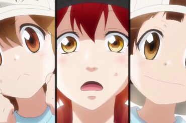 【働く細胞】血小板集