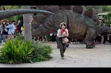 【USJ】★恐竜のお散歩★マイフレンドダイナソー　ステゴサウルスver