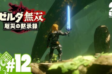 #12【ゼルダ】おついちの「ゼルダ無双 厄災の黙示録」【無双】