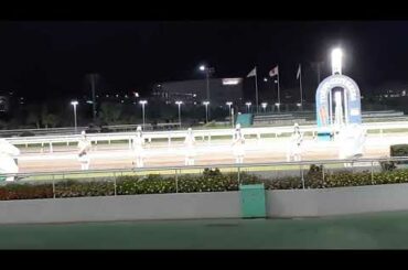 8/17(月)大井競馬　11R 生ファンファーレ