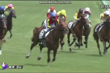 ラッキーライラック　新馬戦