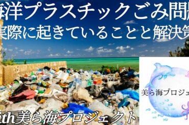 【ゆっくり解説】海洋プラスチックごみ問題～実際に起きていることと解決策～【美ら海プロジェクト】