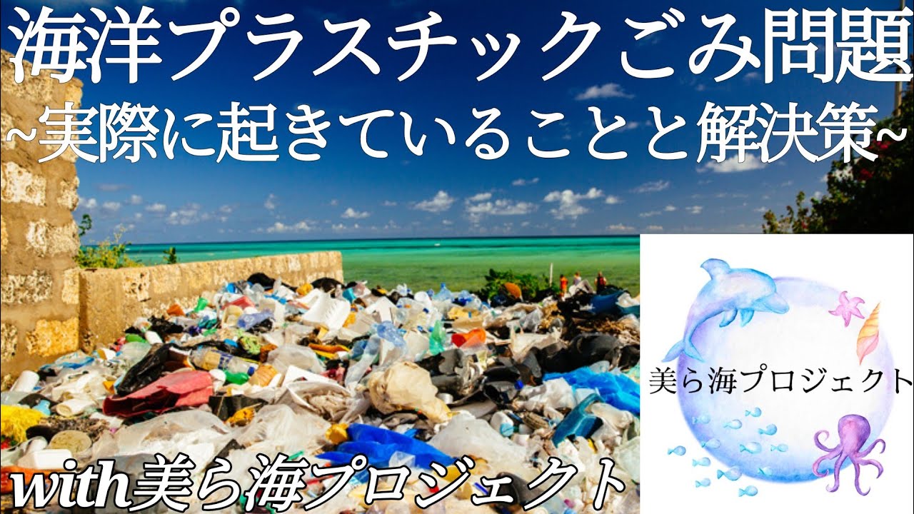 【ゆっくり解説】海洋プラスチックごみ問題～実際に起きていることと解決策～【美ら海プロジェクト】