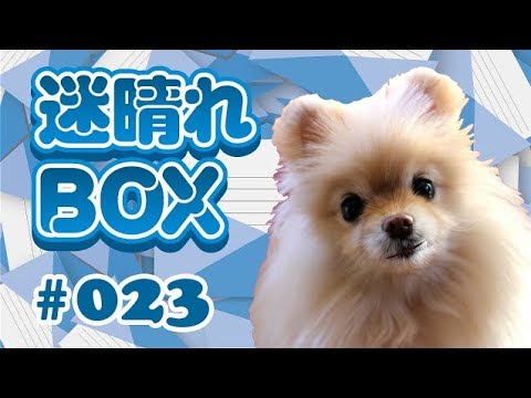 【BOX#23】敗者は信じたいことに溺れ、勝者は信じていることを守る。 【BOX#23】敗者は信じたいことに溺れ、勝者は信じていることを守る。