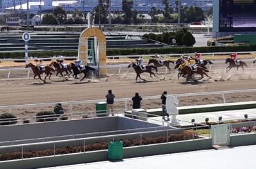 2020年2月27日、大井競馬場の無観客競馬