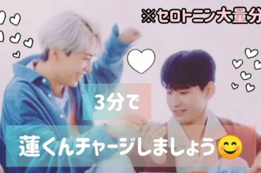 【JO1】蓮くんの笑顔は世界を救う🤗