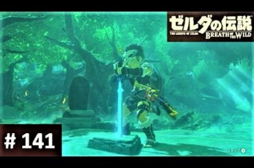 【剣の試練 序位をクリア！】 攻略 ゼルダの伝説 ブレスオブザワイルド #141　"Beginning Trials ; Trial of the Sword" BREATH OF THE WILD