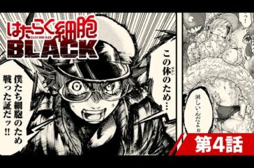 【漫画】淋菌vs白血球‼世界初の抗生物質「ペニシリン」とは…『はたらく細胞BLACK』4話 ㊗アニメ化!【公式】