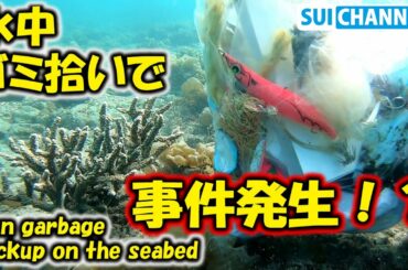 海底のゴミ拾ってたらタコ共食い現場に遭遇する！？Fun garbage pickup on the seabed