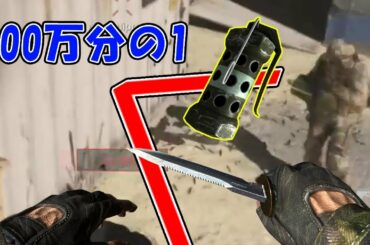 【CoD:MW】100万分の1の最終的なキル方法が海外で話題⁉/海外プレイヤーたちの神プレイ＆面白プレイ　#25 (PC/PS4/XBOX)