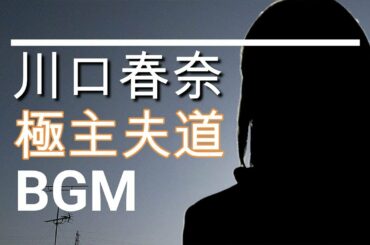 【川口春奈のBGM】ドラマ「極主夫道」最終回