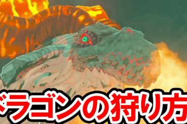 【ゼルダの伝説 BotW】フロドラ・ネルドラ・オルドラを無限ループ！ドラゴンの居場所と狩り方を公開！ゼルダの伝説 ブレス オブ ザ ワイルドの攻略動画