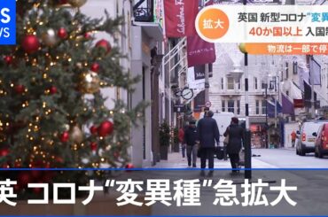 英“変異種”急拡大で４０か国以上入国制限 ＷＨＯ「冷静な対応を」【Nスタ】
