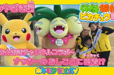 【ポケモン公式】体験探検ピカチュウ部！「みやざき編」-ポケモン Kids TV