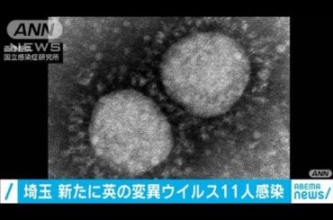 埼玉県で11人が新型コロナウイルスの変異型に感染(2021年2月5日)