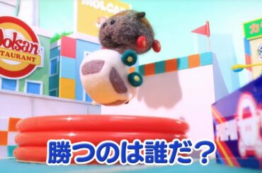 TVアニメ「PUI PUIモルカー」第5話　プイプイレーシング　予告