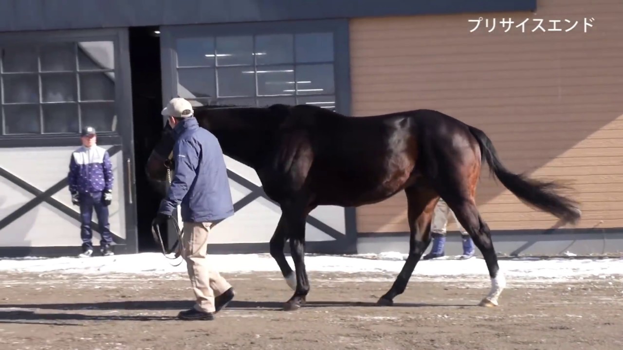 優駿スタリオンステーション種牡馬展示会2018-全21頭(新種牡馬シルバーステート,ヘニーヒューズなど)
