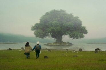 Mr.Children「Documentary film」MUSIC VIDEO