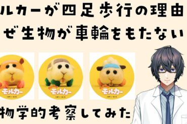 モルカーが四足歩行の理由　なぜ生物が車輪をもたないか【生命科学Vtuber】