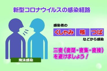 【解説版】新型コロナウイルス感染症とは