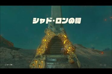 【DLCオルディン地方】シャド・ロンの祠攻略　ゼルダの伝説ブレスオブザワイルド