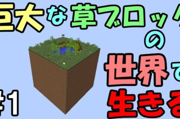 【マインクラフト】#1 巨大ブロックの世界で生きる　～優しい世界～