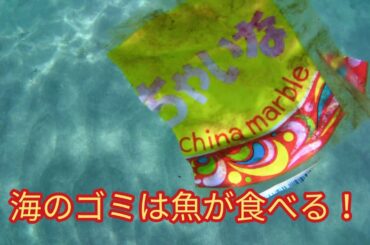 【マイクロプラスチック】このゴミを魚が食べるのが問題
