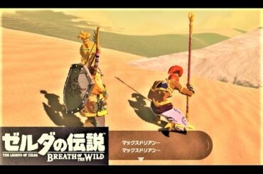 【バレッタを探して : ミニチャレンジ　ゲルドの街】 攻略 ゼルダの伝説 ブレスオブザワイルド 　"The Search for Barta" BREATH OF THE WILD