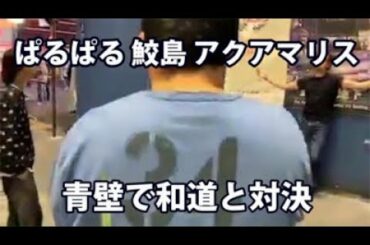 【養分伊藤店長】11/13⑦鮫島アクアマリス和道が青壁前で