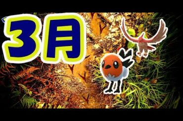 【ポケモンGO】3月コミュニティデイ!?ヤヤコマな公式内容【最新情報】