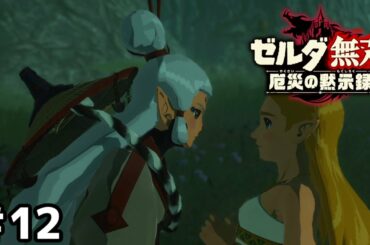 リンク以外の英傑がいないと元気だな？【ゼルダ無双 厄災の黙示録】＃１２