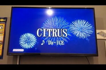 CITRUS/Da-iCE「極主夫道」主題歌原曲キーで歌ってみた