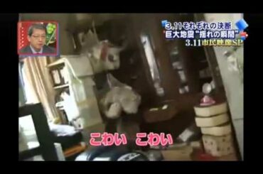 2011年3月11日 東日本大震災 発生の瞬間映像集