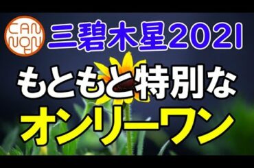 開運九星気学2021　三碧木星　2021年の開運運勢　「元々特別なオンリーワン。」人生はいろいろ、だから面白いのです。