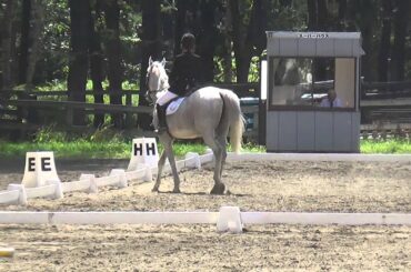 2014年北日　馬場馬術競技 A4課目　佐藤詩織　チェリーアドミラル号