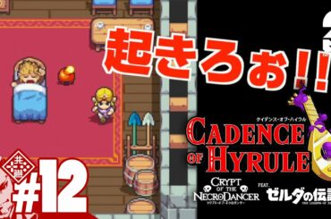 #12【ハイラルを救え】弟者の「ケイデンス・オブ・ハイラル: クリプト・オブ・ネクロダンサー feat. ゼルダの伝説」【2BRO.】