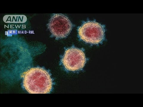 北米初 コロナに2回感染 2回目の方が症状深刻(2020年10月14日) 北米初 コロナに2回感染 2回目の方が症状深刻(2020年10月14日)