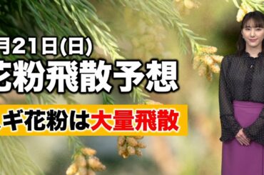 花粉飛散予想 2月21日日曜日