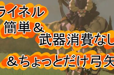 ライネル省エネ簡単攻略「ゼルダの伝説　ブレスオブザワイルド」