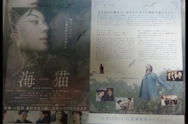 海猫 (2004) 映画チラシ  伊東美咲 佐藤浩市 仲村トオル 毎日大量動画アップ中 海猫 (2004) 映画チラシ  伊東美咲 佐藤浩市 仲村トオル 毎日大量動画アップ中