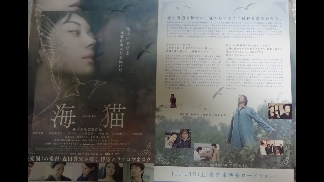 海猫 (2004) 映画チラシ  伊東美咲 佐藤浩市 仲村トオル 毎日大量動画アップ中 海猫 (2004) 映画チラシ  伊東美咲 佐藤浩市 仲村トオル 毎日大量動画アップ中