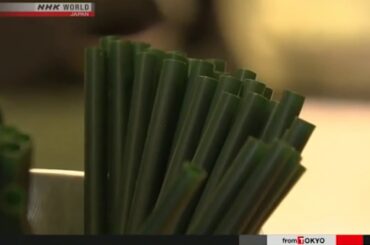 【英語術】ＥＵ 使い捨てプラスチック製品の規制へ / EU PROPOSES PLAN TO CUT PLASTIC WASTE