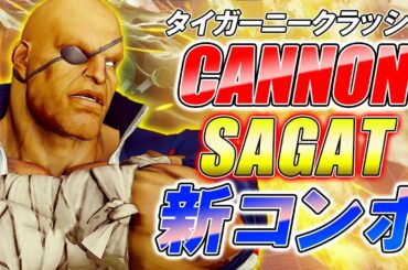 スト5 SFV CE 帝王サガット タイガーキャノン新コンボ！  攻略解説 格闘ゲーム ストリートファイター5 Eスポーツ