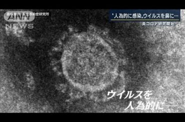 報酬66万円“人為的”にコロナ感染　イギリス研究(2021年2月18日)